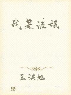 我是流氓封面