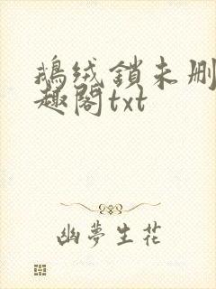 鹅绒锁未删除笔趣阁txt