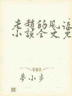 老赵的风流人生小说全文免费阅读封面