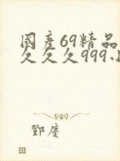 国产69精品久久久久999小说
