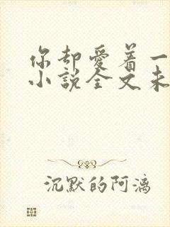 你却爱着一个他小说全文未删减免费