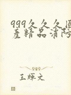 999久久久国产精品消防器材