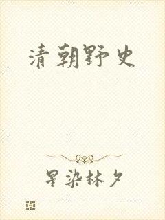 清朝野史封面