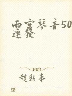 雨宫琴音500连发