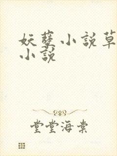 妖孽小说草莓酱小说封面