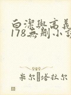 白洁与高义1～178无删小说封面