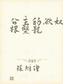 公主的欲奴h四根双龙