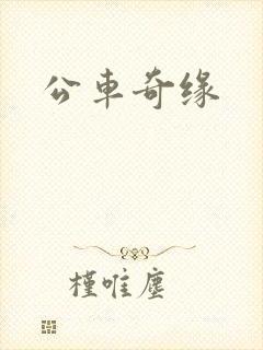 公车奇缘