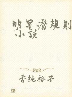 明星潜规则之皇 小说