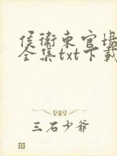 侯卫东官场笔记全集txt下载