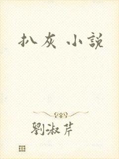 扒灰 小说