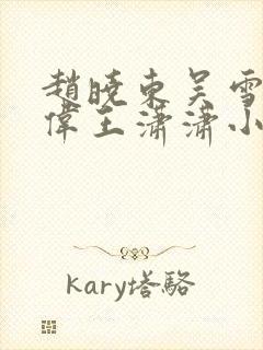 赵晓东吴雪晴郑伟王潇潇小说名字
