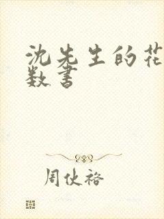 沈先生的花式调数书