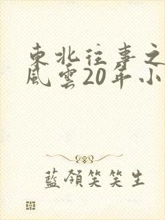 东北往事之黑道风云20年小说