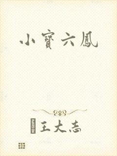 小宝六凤