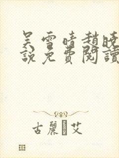 吴雪晴赵晓东小说免费阅读