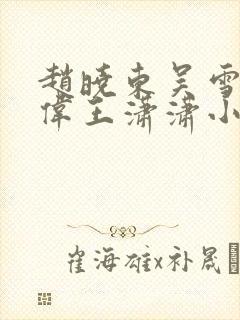 赵晓东吴雪晴郑伟王潇潇小说封面