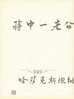 蒋中一老公封面