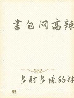 书包网高辣文