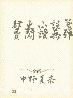 肆火小说笔趣免费阅读无弹窗