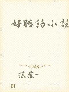 好听的小说名字封面