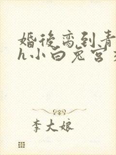 婚后脔到青梅哭h小白兔宫交h封面