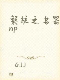 系统之名器攻略np封面