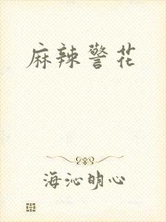 麻辣警花封面