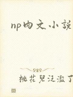 np肉文小说
