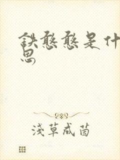 铁憨憨是什么意思