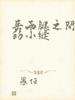 岳两腿之间白嫩的小缝封面