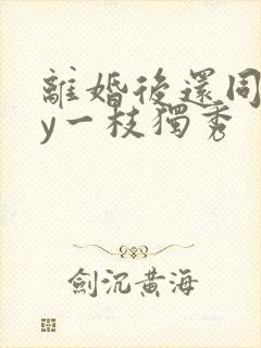 离婚后还同居by一枝独秀封面