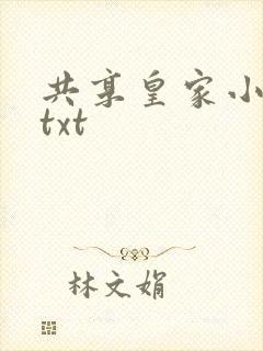 共享皇家小公主txt