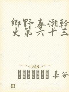 乡野春潮干柴烈火第六十三章