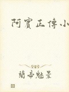 阿宾正传小说