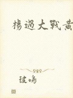 杨过大战黄蓉