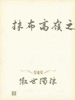 抹布高岭之花封面