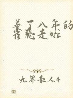 养了八年的金丝雀飞走啦