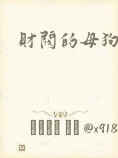 财阀的母狗们