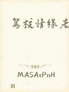 驾校情缘老赵