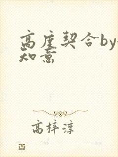 高度契合by洛知意封面