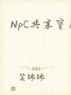 NpC共享宝贝