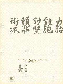街头钞能力无删减版双胞胎