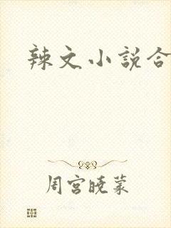 辣文小说合集封面