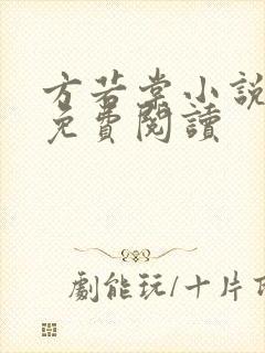 方若棠小说全文免费阅读