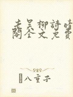 老吴柳诗晴笔趣阁全文免费阅读封面