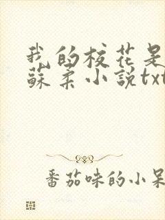 我的校花是福姬苏柔小说txt
