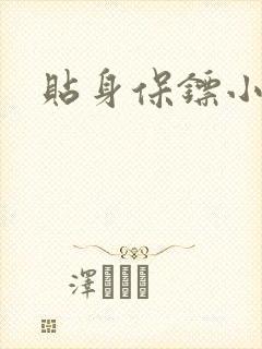 贴身保镖小说