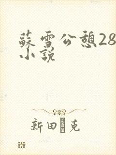苏雪公憩28篇小说