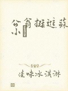 公翁挺进苏玥的小泬